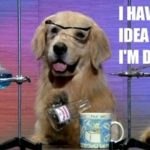 golden-retriever-and-science1